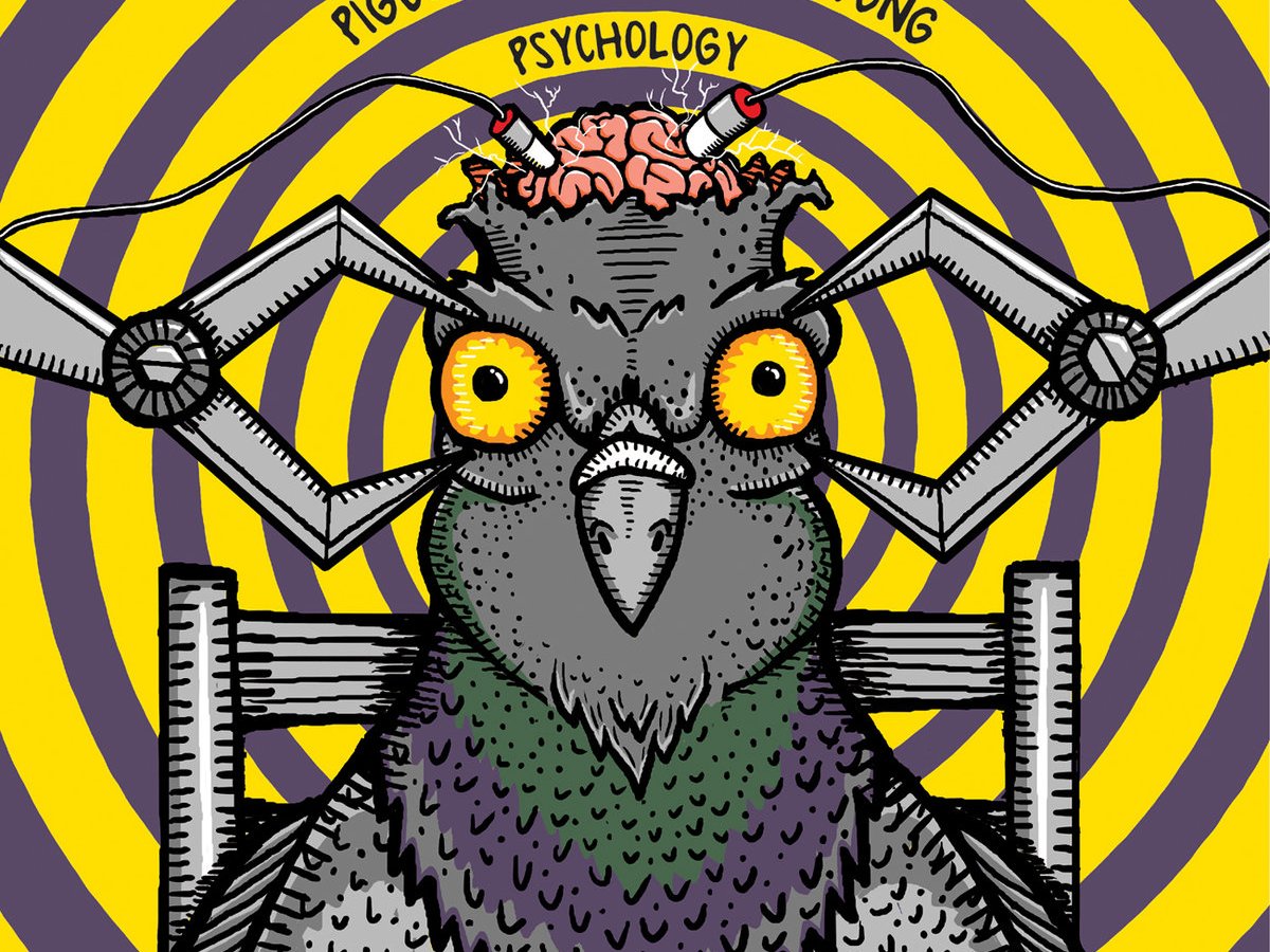 Where Does Funk Stop? – Captain Cool Presents: “Psychology” by Pigeons Playing Ping Pong